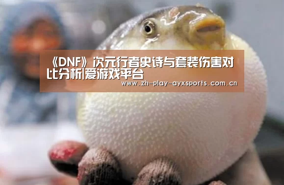 《DNF》次元行者史诗与套装伤害对比分析|爱游戏平台(图3) 《DNF》次元行者史诗与套装伤害对比分析|爱游戏平台(图3)